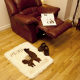 Bed Side Rugs