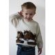Pony jumper