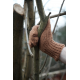 Plain Gloves