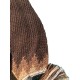 Graphics Hat  brown mix