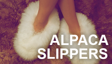 Alpaca Slippers
